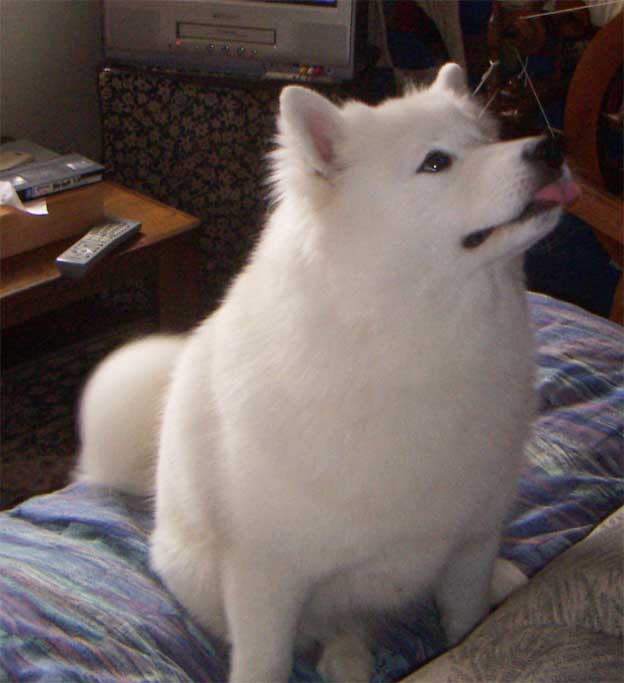 e0018604_21445336.jpg