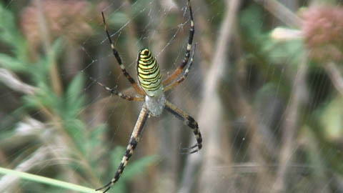 c0047906_21473960.jpg
