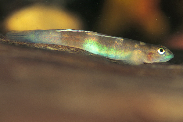 c0064907_20353626.jpg
