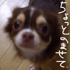 c0036617_13282524.jpg