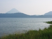 d0042618_05962.jpg