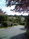 d0009828_8371931.jpg