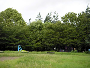 d0049135_227638.jpg