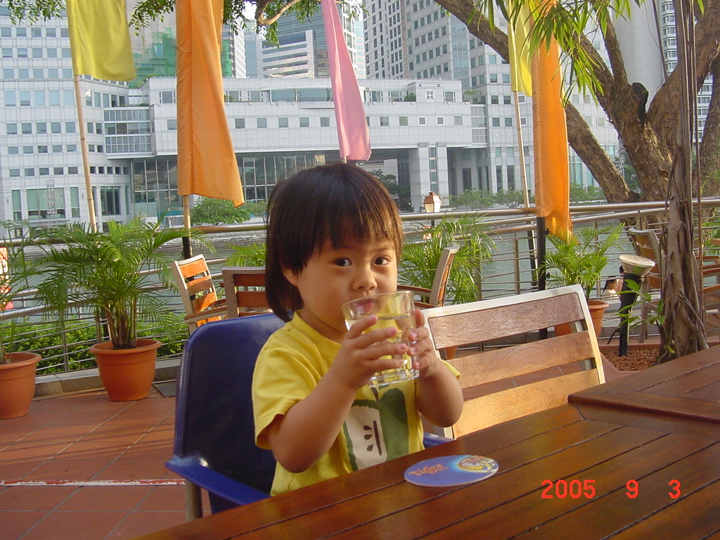 d0065459_336684.jpg