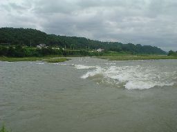 d0043161_1552832.jpg