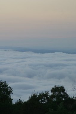 e0032775_1643525.jpg