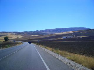 c0000088_326487.jpg