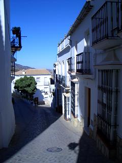 c0000088_3321119.jpg