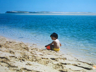 d0037896_2346634.jpg