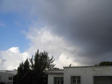 d0037896_2352145.jpg