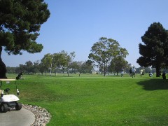b0043897_7432724.jpg