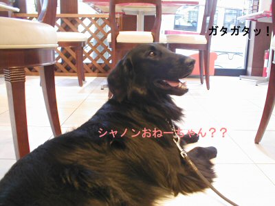 c0050400_22331587.jpg