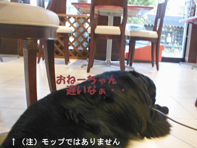 c0050400_22342889.jpg