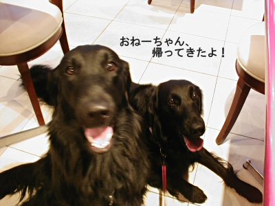 c0050400_22372010.jpg