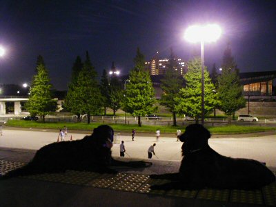 c0050400_2246721.jpg