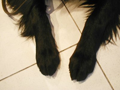 c0050400_22792.jpg