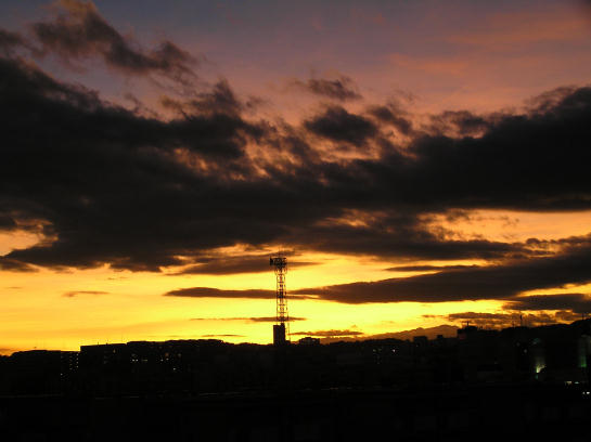 e0008800_4315448.jpg