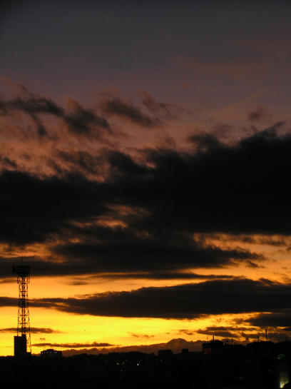 e0008800_4323486.jpg
