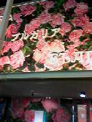 e0053414_044480.jpg