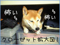 c0060620_14591519.jpg