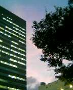 d0000820_1451424.jpg