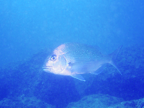 b0044726_23124360.jpg
