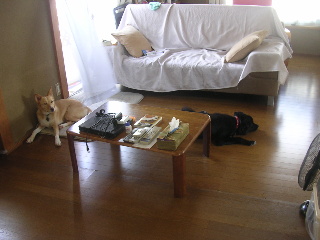 c0065643_1275850.jpg