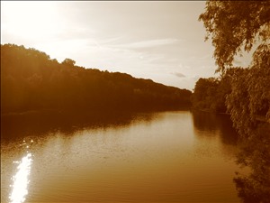e0059444_1405692.jpg