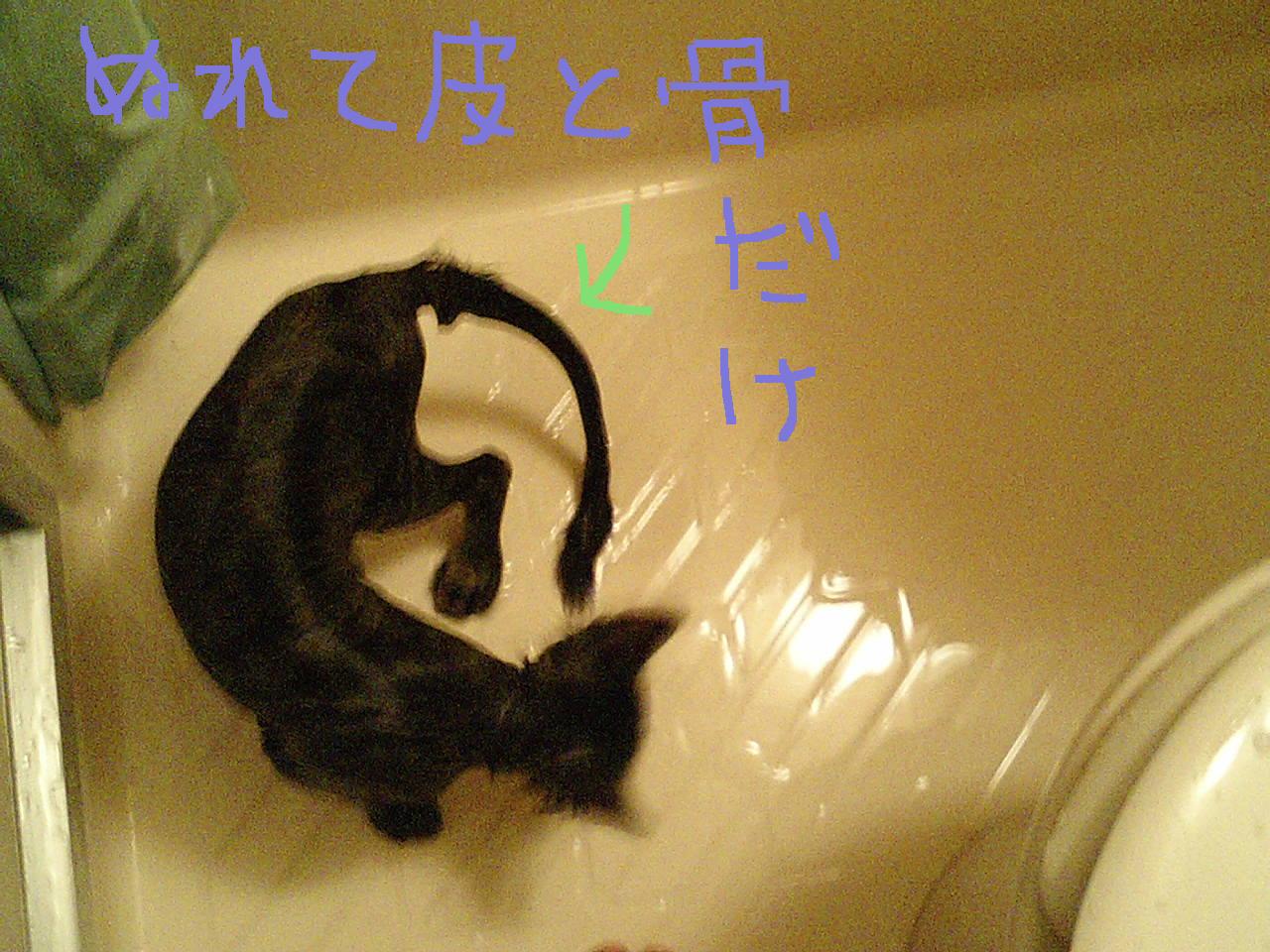 e0066554_0283029.jpg
