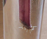 b0008366_16405586.jpg