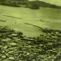 b0052471_1434551.jpg