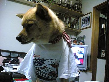 c0009287_1818552.jpg