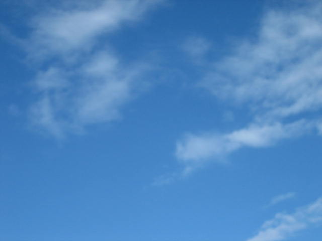 e0051194_1219953.jpg