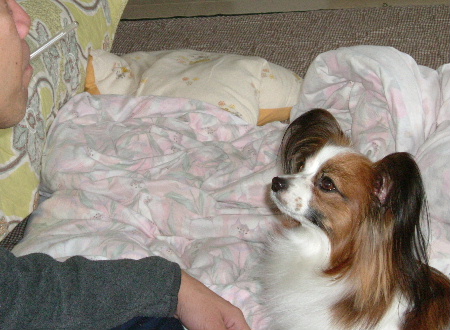 c0044199_23552755.jpg