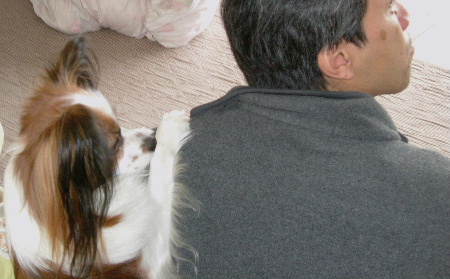 c0044199_23554798.jpg