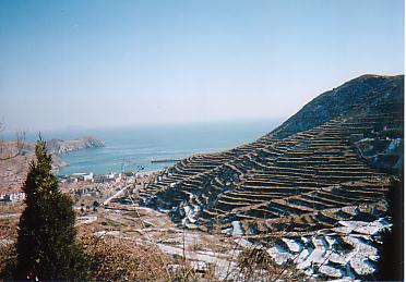 e0039100_22173533.jpg