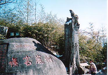 e0039100_22192780.jpg