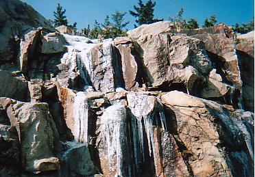e0039100_22202961.jpg