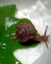 e0070004_16273253.jpg