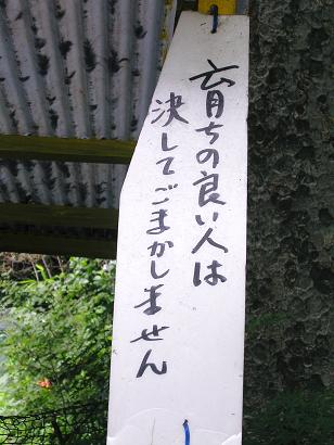 a0009005_8555447.jpg