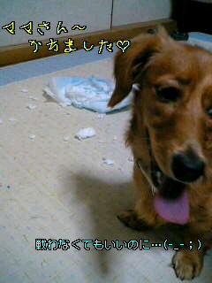d0046905_20553838.jpg