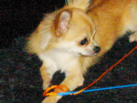 c0052933_17574882.jpg