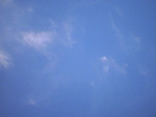 c0029442_23464598.jpg