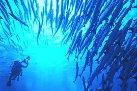 d0063550_0212059.jpg