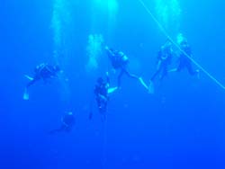 b0062363_22333464.jpg