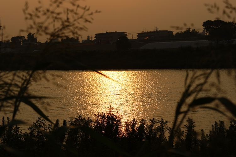 c0030874_20263786.jpg