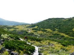 c0072379_231852.jpg