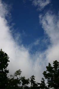 d0056490_8585285.jpg