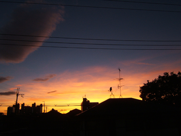 e0017298_2311421.jpg