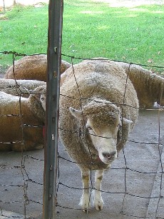 c0005899_1285024.jpg
